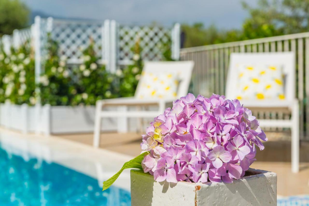 Villa Sorrento Flats Ngoại thất bức ảnh
